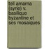 Tell Amarna (Syrie) v. Basilique Byzantine et ses mosaiques