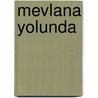 Mevlana Yolunda by M. Urkmez