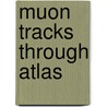 Muon Tracks Through Atlas by E.J. Visser