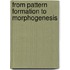 From pattern formation to morphogenesis