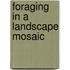 Foraging in a landscape mosaic