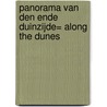 Panorama Van den Ende duinzijde= Along the dunes by L. van den Ende