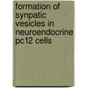 Formation Of Synpatic Vesicles In Neuroendocrine Pc12 Cells by H. de Wit