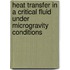 Heat transfer in a critical fluid under microgravity conditions