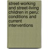 Street-Working and Street-Living Children in Peru: Conditions and Current Interventions door T. Strehl