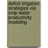Deficit irrigation strategies via crop water productivity modeling
