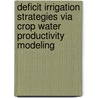 Deficit irrigation strategies via crop water productivity modeling door S. Geerts