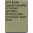 Dm1 Triplet Repeat Instability In Human Gametes, Embryos And Embryonic Stem Cells