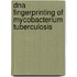 Dna Fingerprinting Of Mycobacterium Tuberculosis
