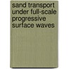Sand transport under full-scale progressive surface waves door J.L.M. Schretten