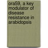 Ora59, A Key Modulator Of Disease Resistance In Arabidopsis door A.P. Korbes
