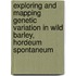 Exploring and mapping genetic variation in wild barley, hordeum spontaneum