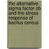 The alternative sigma factor ob and the stress response of Bacilus cereus
