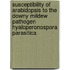 Susceptibility of Arabidopsis to the downy mildew pathogen Hyaloperonospora parasitica