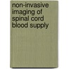 Non-invasive imaging of spinal cord blood supply by R.J. Nijenhuis