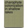 Charophyte colonization in shallow lakes door M.S. van den Berg