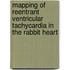 Mapping of reentrant ventricular tachycardia in the rabbit heart