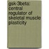 Gsk-3beta: Central Regulator Of Skeletal Muscle Plasticity