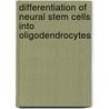 Differentiation of neural stem cells into oligodendrocytes by F. Sher