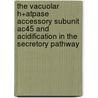 The Vacuolar H+atpase Accessory Subunit Ac45 And Acidification In The Secretory Pathway door V.Th.G. Schoonderwoert