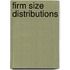 Firm size distributions