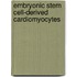 Embryonic stem cell-derived cardiomyocytes