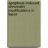 Apoptosis-induced chromatin modifications in lupus