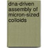 Dna-driven Assembly Of Micron-sized Colloids