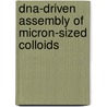 Dna-driven Assembly Of Micron-sized Colloids door N. Geerts