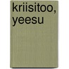 Kriisitoo, Yeesu door W. de Vink