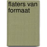 Flaters van formaat by Franquin