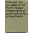 'How one can see what is not there': Neural mechanisms of grapheme-colour synaesthesia