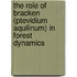 The role of bracken (Ptevidium aquilinum) in forest dynamics