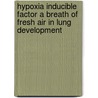 Hypoxia Inducible Factor A Breath of Fresh Air in Lung Development door F.A. Groenman