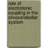 Role of electrotonic coupling in the olivocerebellar system