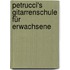 Petrucci's Gitarrenschule für Erwachsene