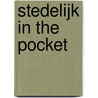 Stedelijk in the pocket by Rixt Hulshoff Pol