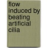 Flow induced by beating artificial cilia door Jeanette Hussong