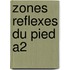 Zones reflexes du pied A2