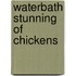Waterbath stunning of chickens