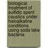 Biological treatment of sulfidic spent caustics under haloalkaline conditions using soda lake bacteria door Marco de Graaff