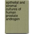 Epithelial and stromal cultures of human prostate androgen