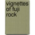 Vignettes of Fuji Rock