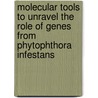 Molecular tools to unravel the role of genes from Phytophthora infestans door P. van West
