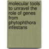 Molecular tools to unravel the role of genes from Phytophthora infestans by P. van West