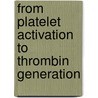 From platelet activation to thrombin generation by I.M.L.W. Keulaerts