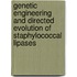 Genetic engineering and directed evolution of staphylococcal lipases