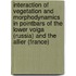 Interaction of vegetation and morphodynamics in pointbars of the Lower Volga (Russia) and the Allier (France)