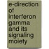 E-direction of interferon gamma and its signaling moiety
