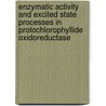 Enzymatic Activity and Excited State Processes in Protochlorophyllide Oxidoreductase door O. Sytina